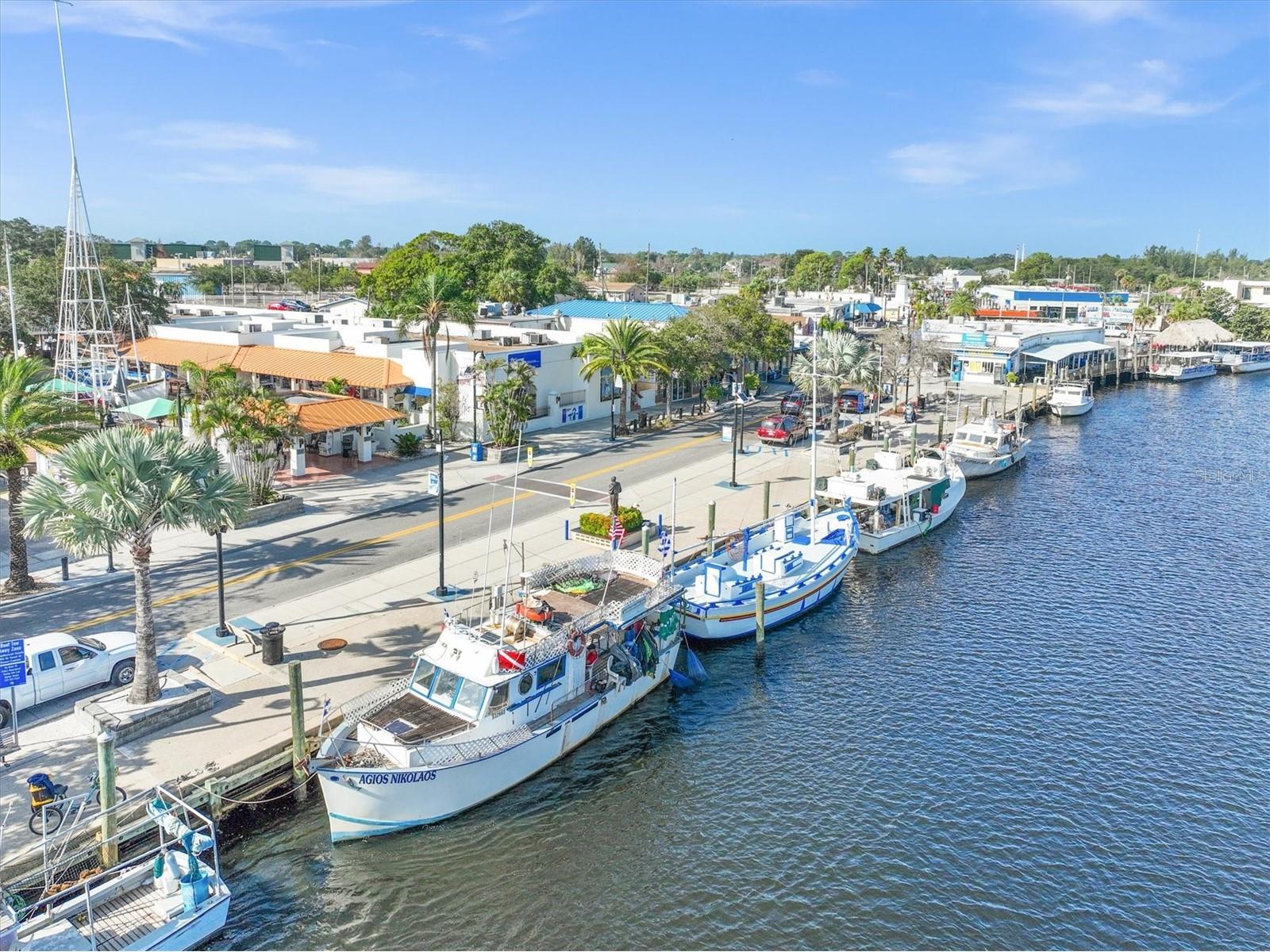 1250 S Pinellas Avenue #214 Tarpon Springs FL 34689 TB8489698 image40