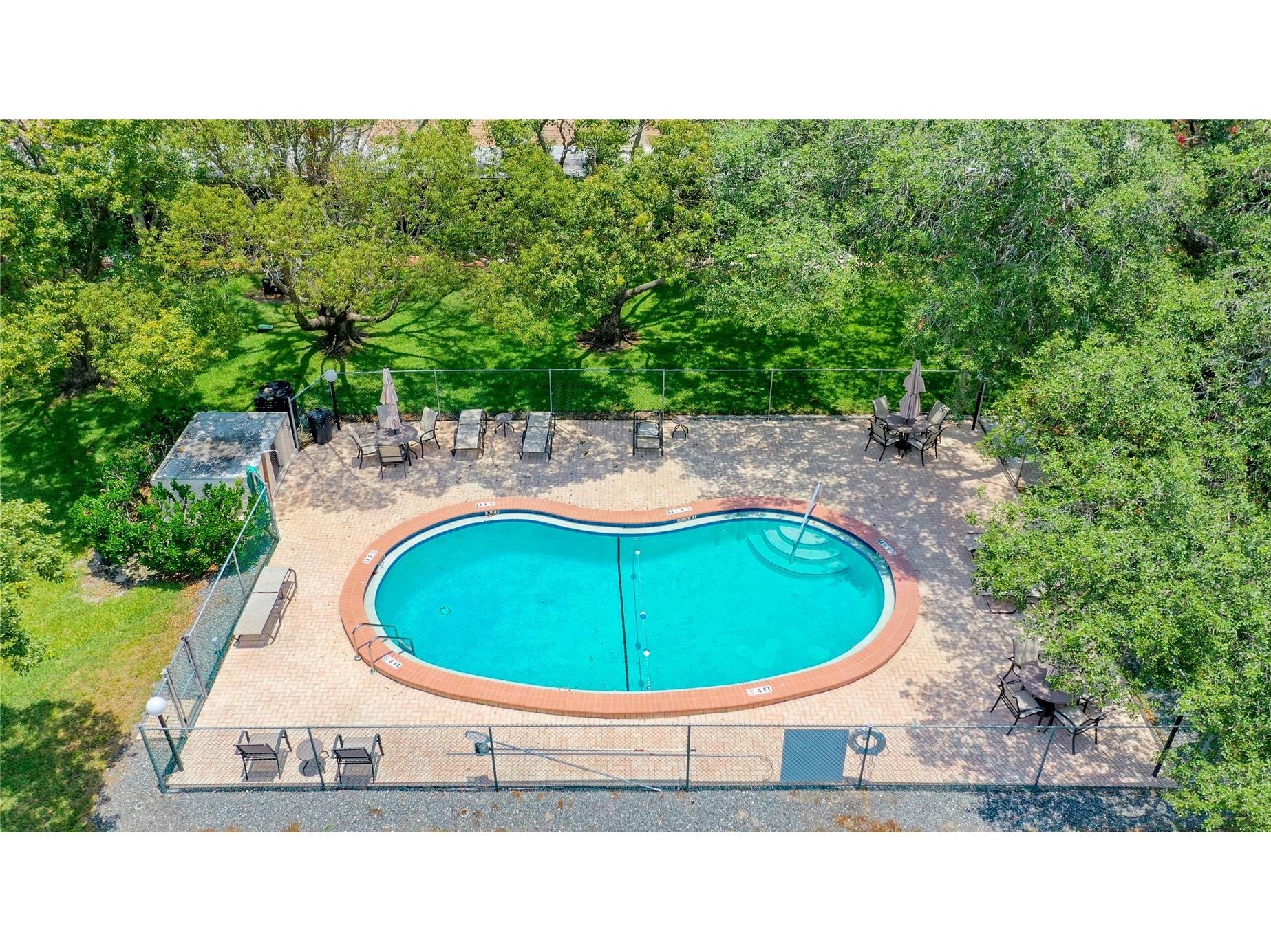 1250 S Pinellas Avenue #306 Tarpon Springs FL 34689 TB8512081 image35