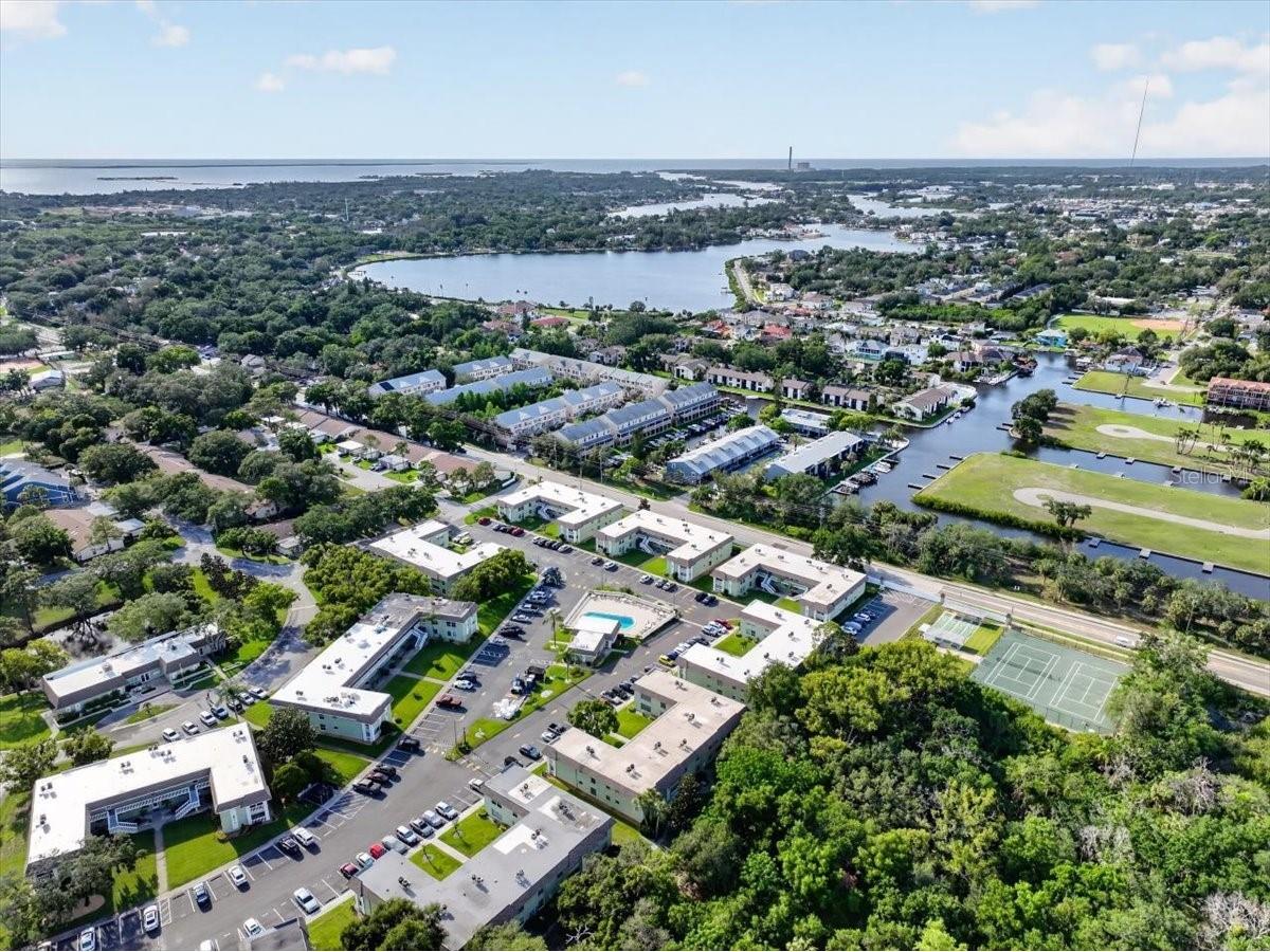 1250 S Pinellas Avenue #306 Tarpon Springs FL 34689 TB8512081 image37