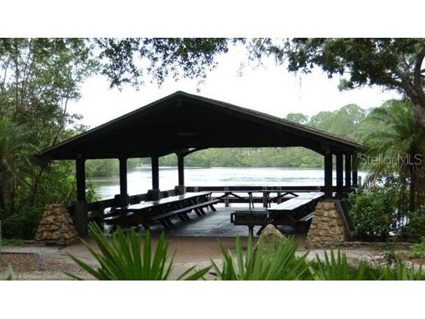 1250 S Pinellas Avenue #306 Tarpon Springs FL 34689 TB8512081 image39