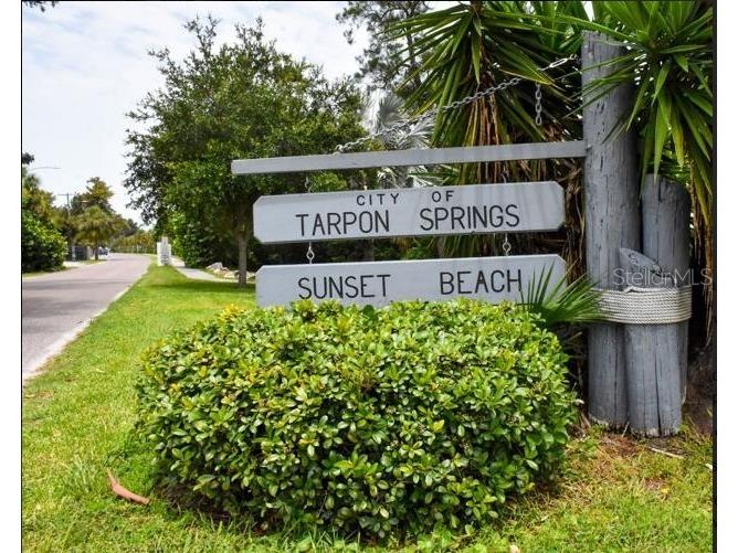 1250 S Pinellas Avenue #306 Tarpon Springs FL 34689 TB8512081 image42