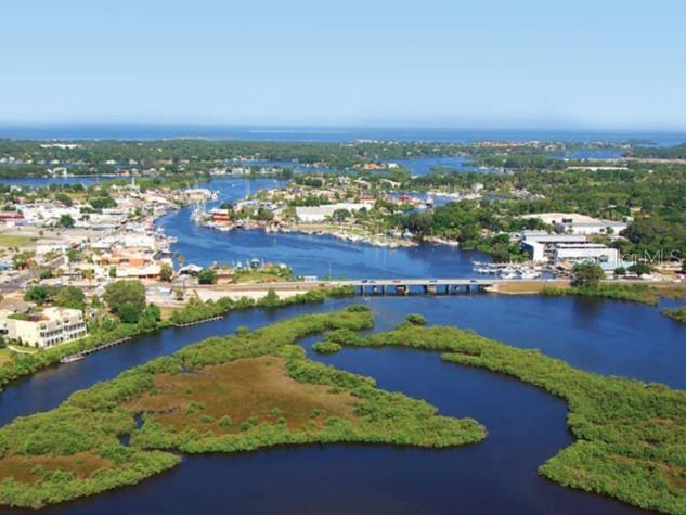 1250 S Pinellas Avenue #306 Tarpon Springs FL 34689 TB8512081 image44