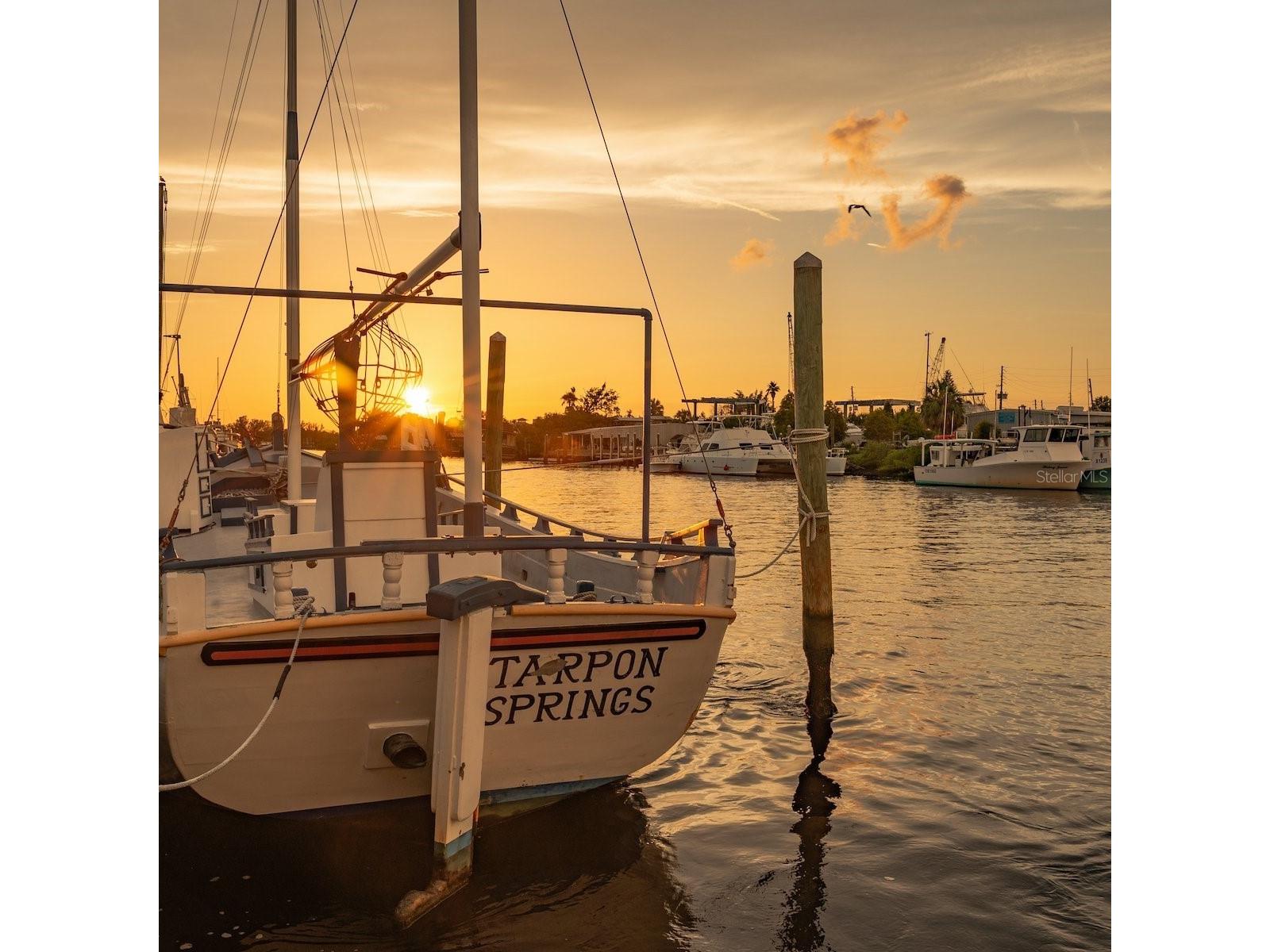 1250 S Pinellas Avenue #306 Tarpon Springs FL 34689 TB8512081 image45