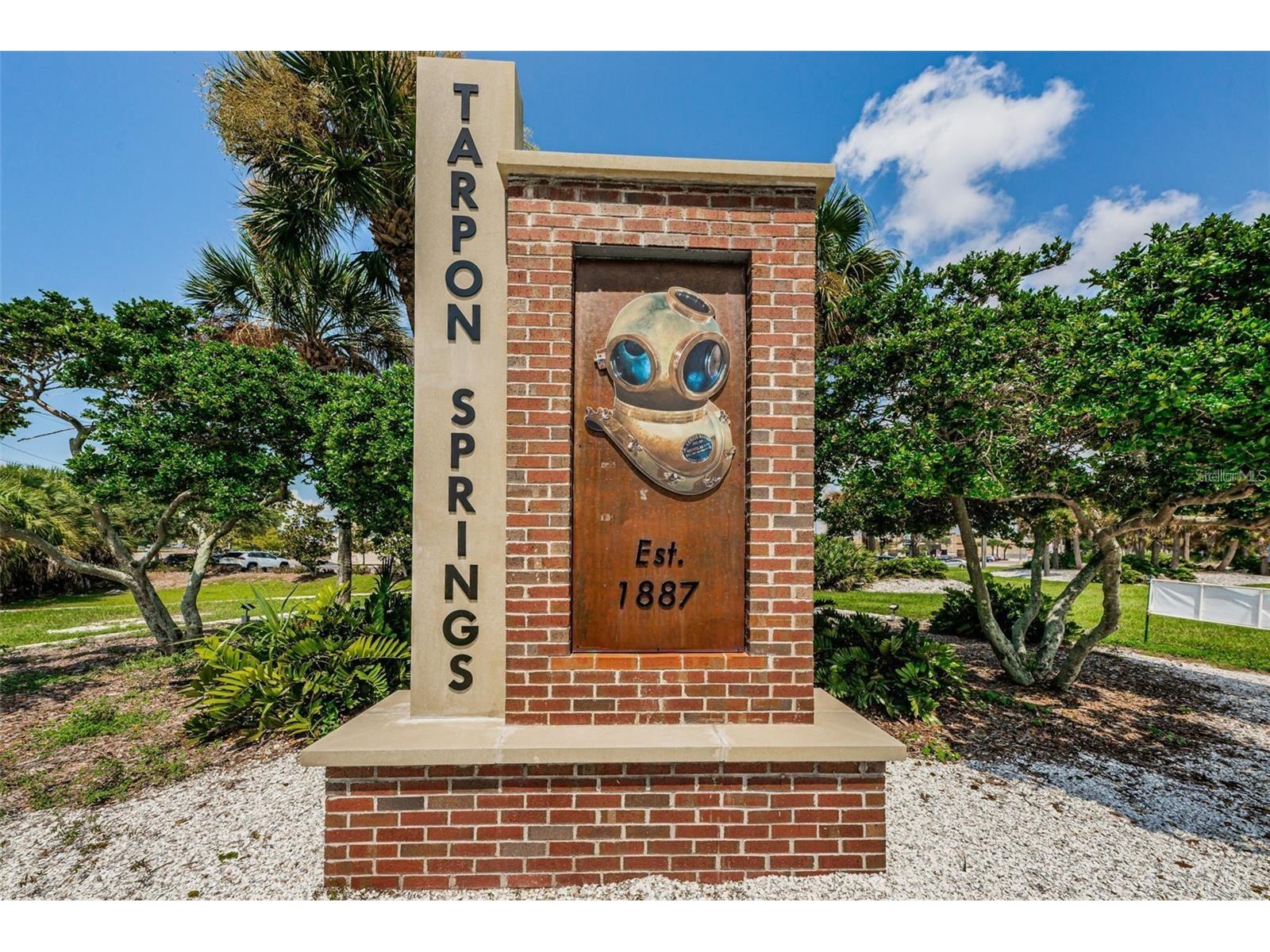 1250 S Pinellas Avenue #306 Tarpon Springs FL 34689 TB8526288 image24