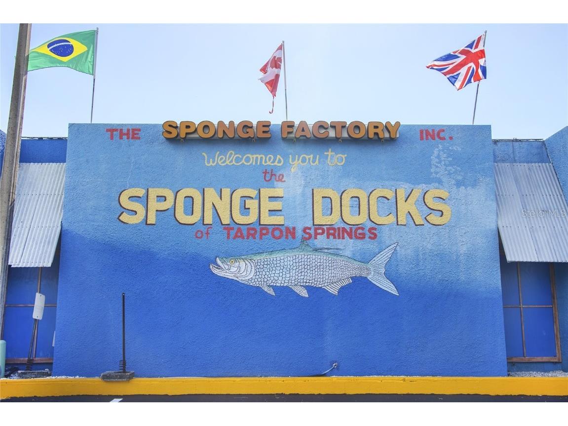 1250 S Pinellas Avenue #405 Tarpon Springs FL 34689 TB8381256 image45