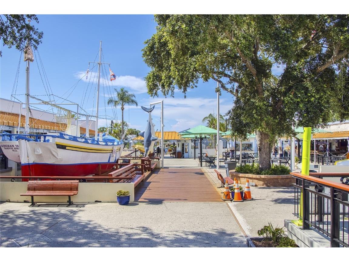 1250 S Pinellas Avenue #405 Tarpon Springs FL 34689 TB8381256 image47