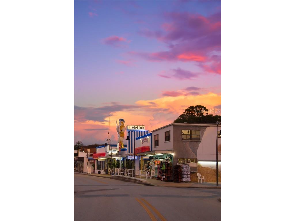 1250 S Pinellas Avenue #405 Tarpon Springs FL 34689 TB8381256 image48