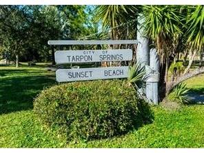 1250 S Pinellas Avenue #506 Tarpon Springs FL 34689 TB8450555 image25