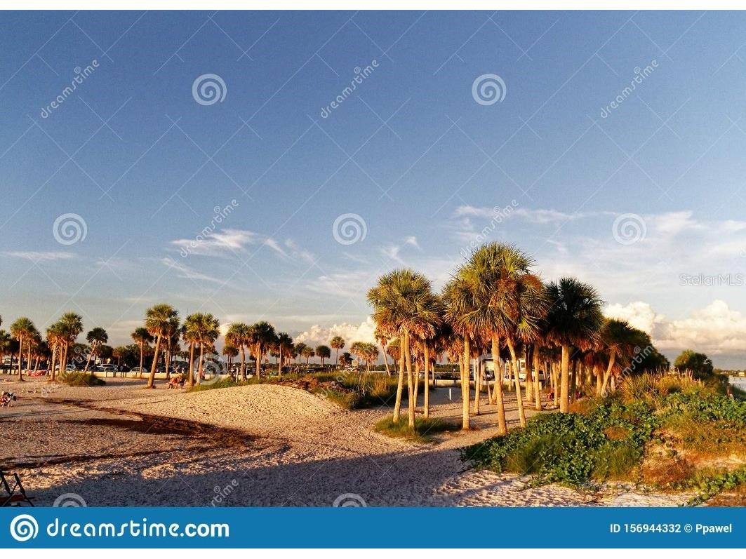 1250 S Pinellas Avenue #506 Tarpon Springs FL 34689 TB8450555 image34