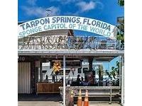 1250 S Pinellas Avenue #506 Tarpon Springs FL 34689 TB8450555 image35