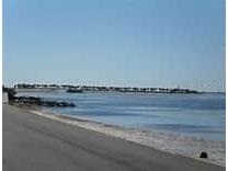 1250 S Pinellas Avenue #506 Tarpon Springs FL 34689 TB8450555 image36