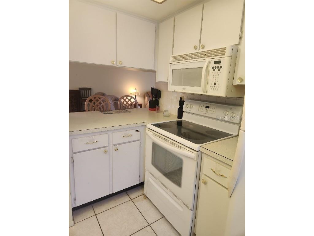 1250 S Pinellas Avenue #506 Tarpon Springs FL 34689 TB8450555 image9