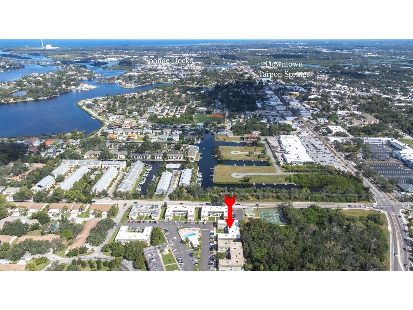 1250 S Pinellas Avenue #711 Tarpon Springs FL 34689 TB8440432 image33