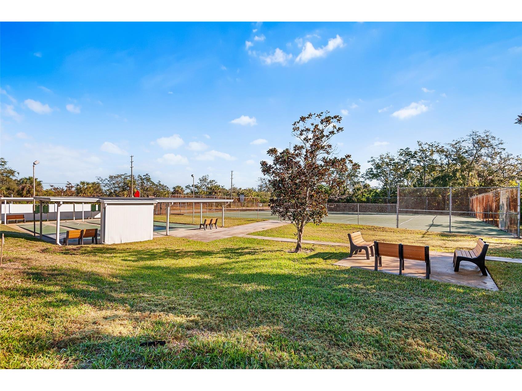 1250 S Pinellas Avenue #803 Tarpon Springs FL 34689 TB8460115 image21