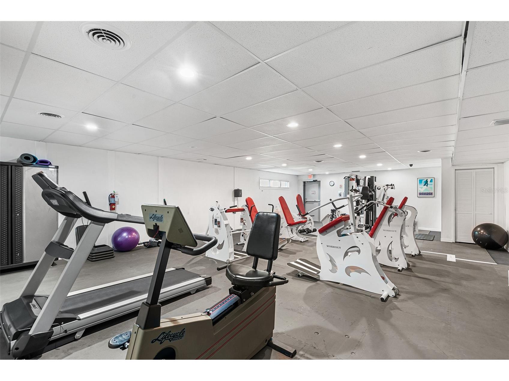 1250 S Pinellas Avenue #803 Tarpon Springs FL 34689 TB8460115 image24