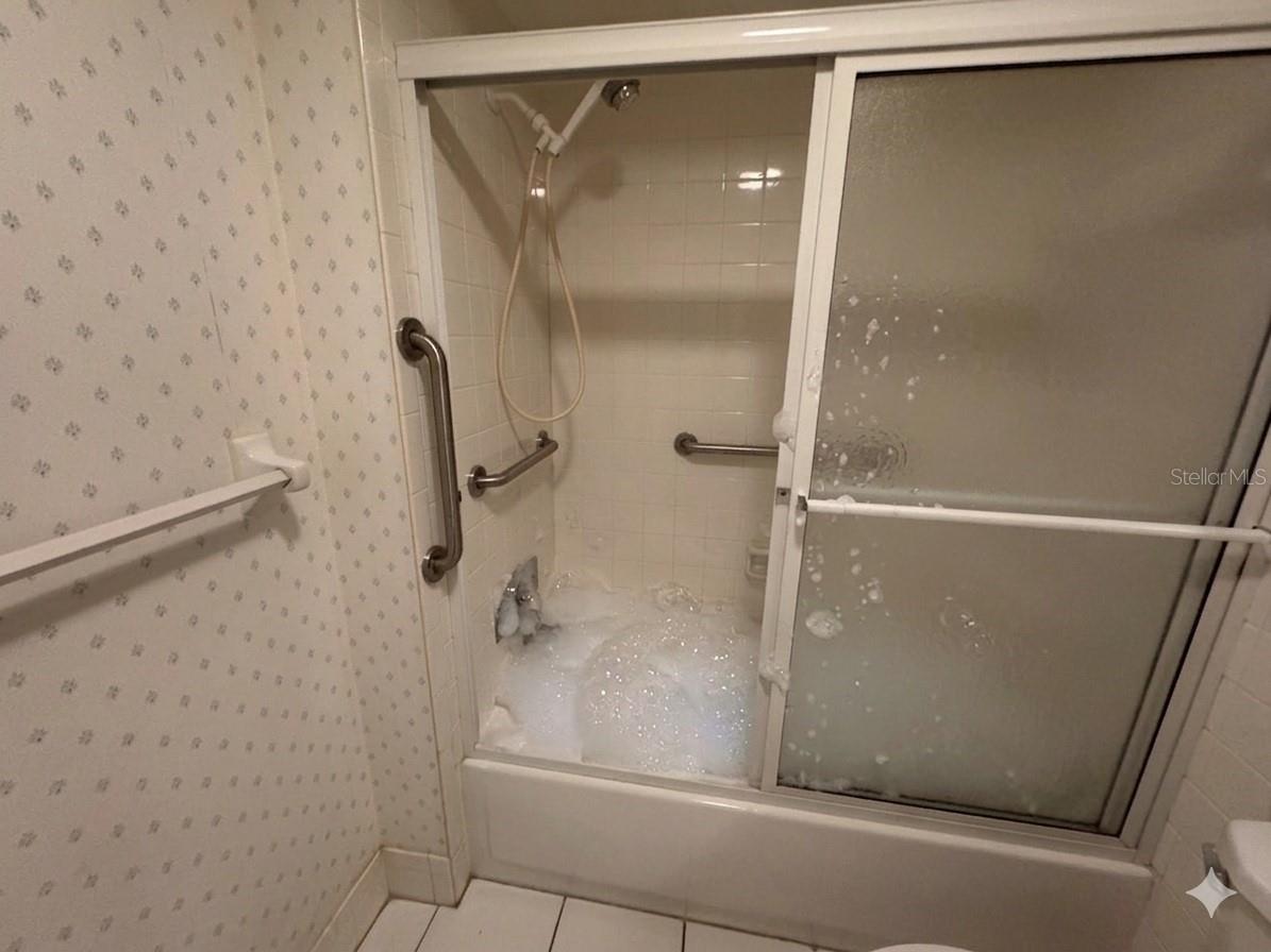 1250 S Pinellas Avenue #804 Tarpon Springs FL 34689 TB8493179 image20