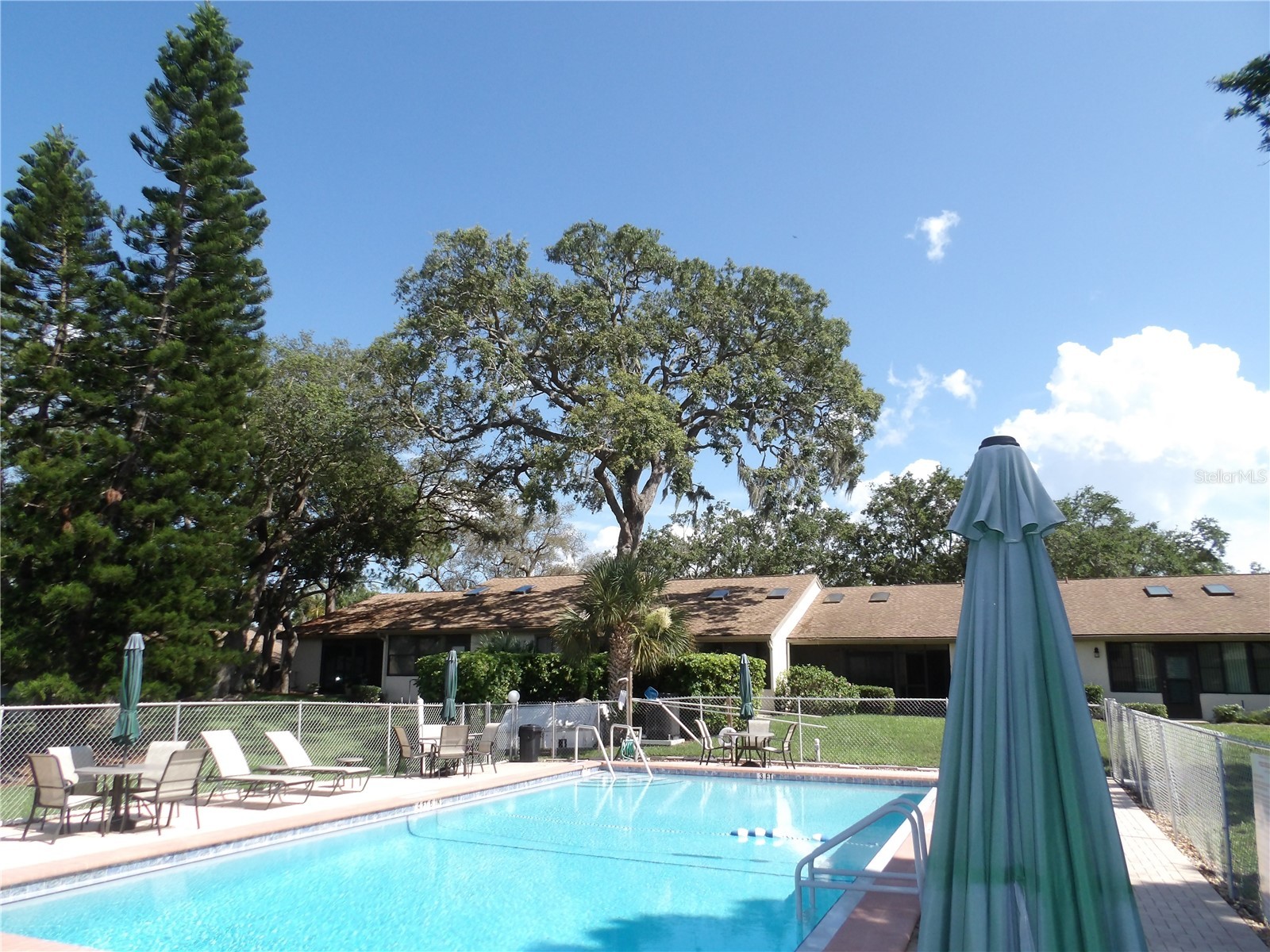 1250 S Pinellas Avenue #804 Tarpon Springs FL 34689 TB8493179 image27