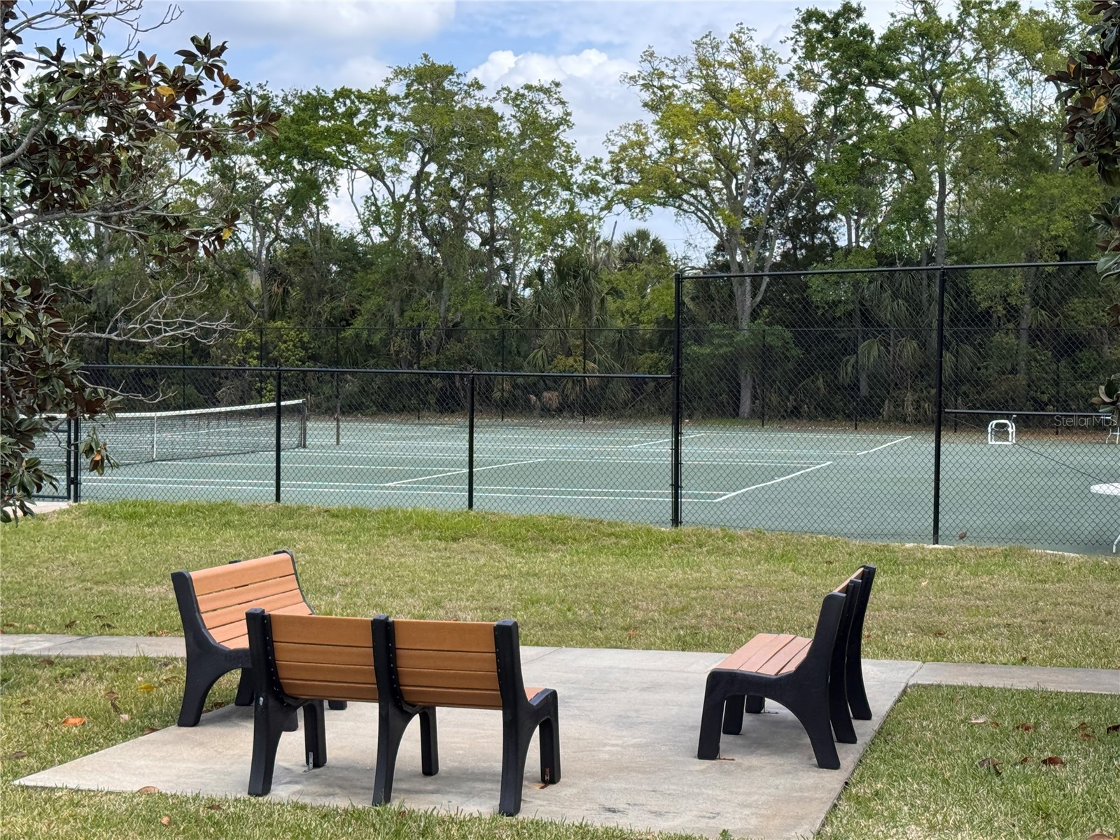 1250 S Pinellas Avenue #804 Tarpon Springs FL 34689 TB8493179 image3
