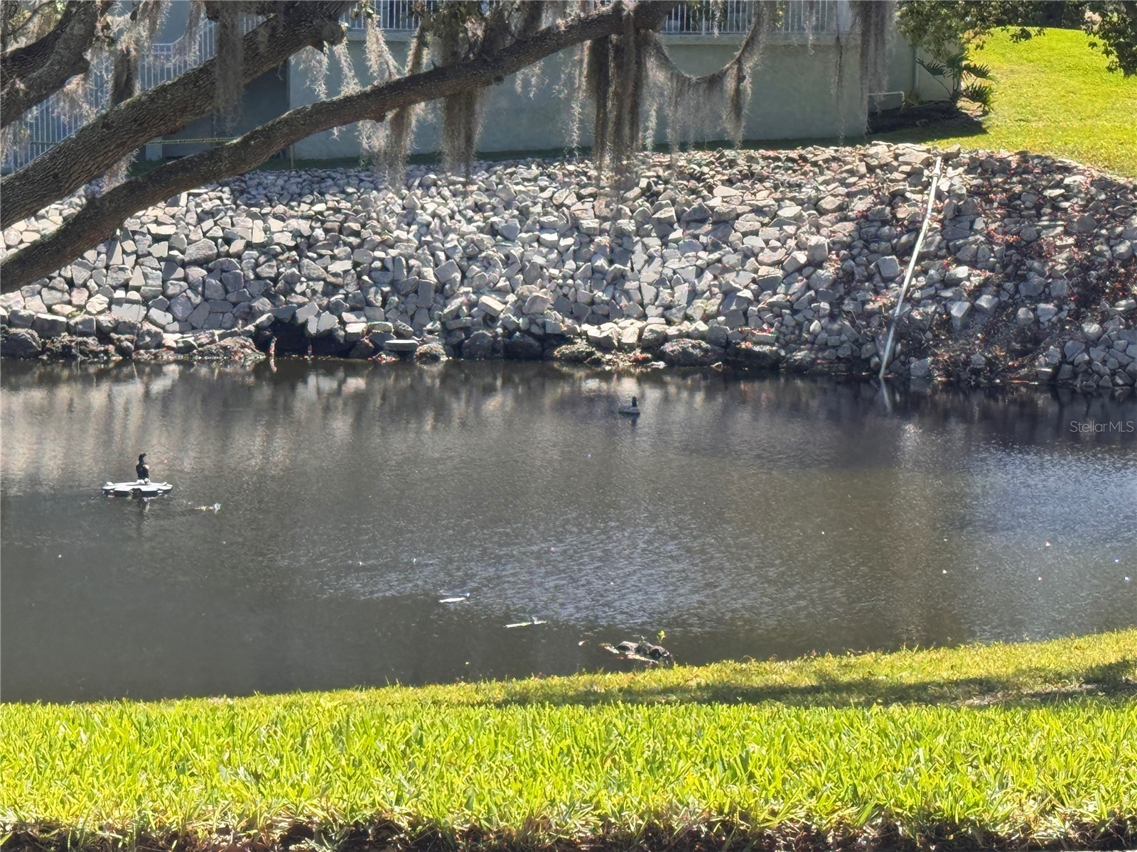 1250 S Pinellas Avenue #804 Tarpon Springs FL 34689 TB8493179 image49