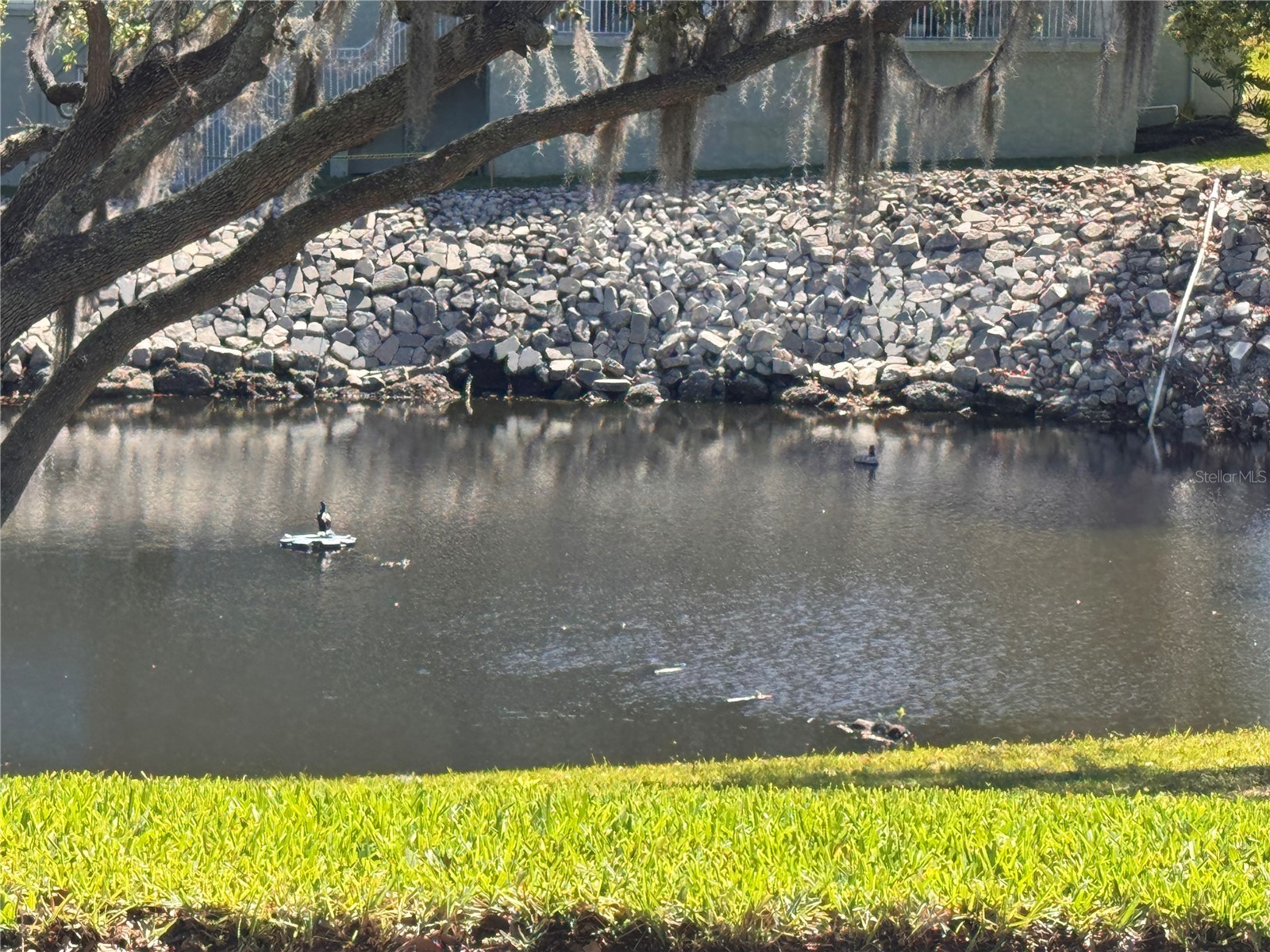 1250 S Pinellas Avenue #804 Tarpon Springs FL 34689 TB8493179 image50