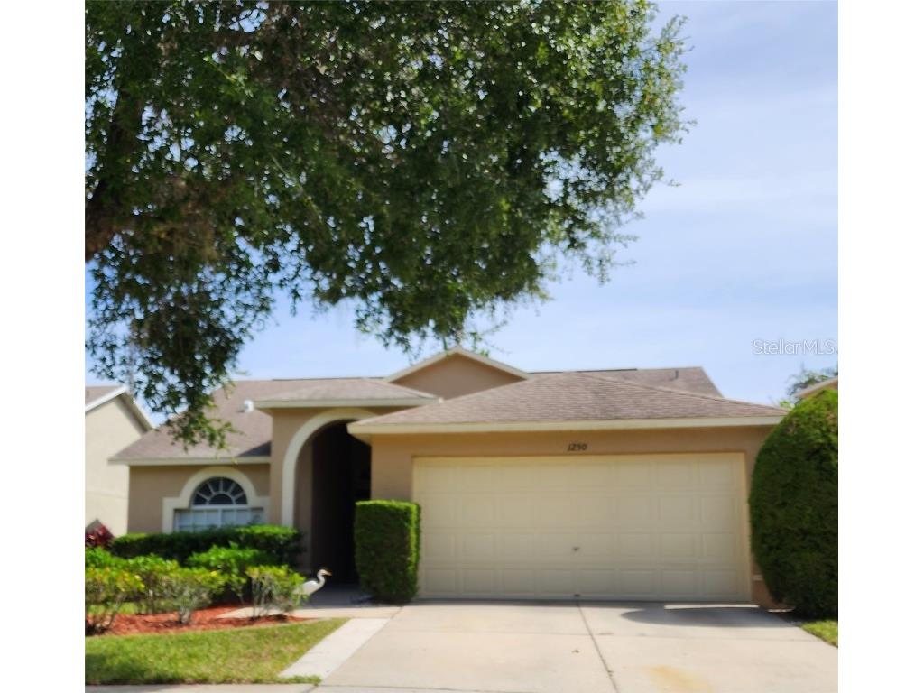 1250 Salt Clay Court Wesley Chapel FL 33544 T3481529 image1