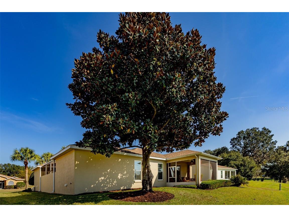 1250 SW 152nd Lane Ocala FL 34473 OM713592 image72