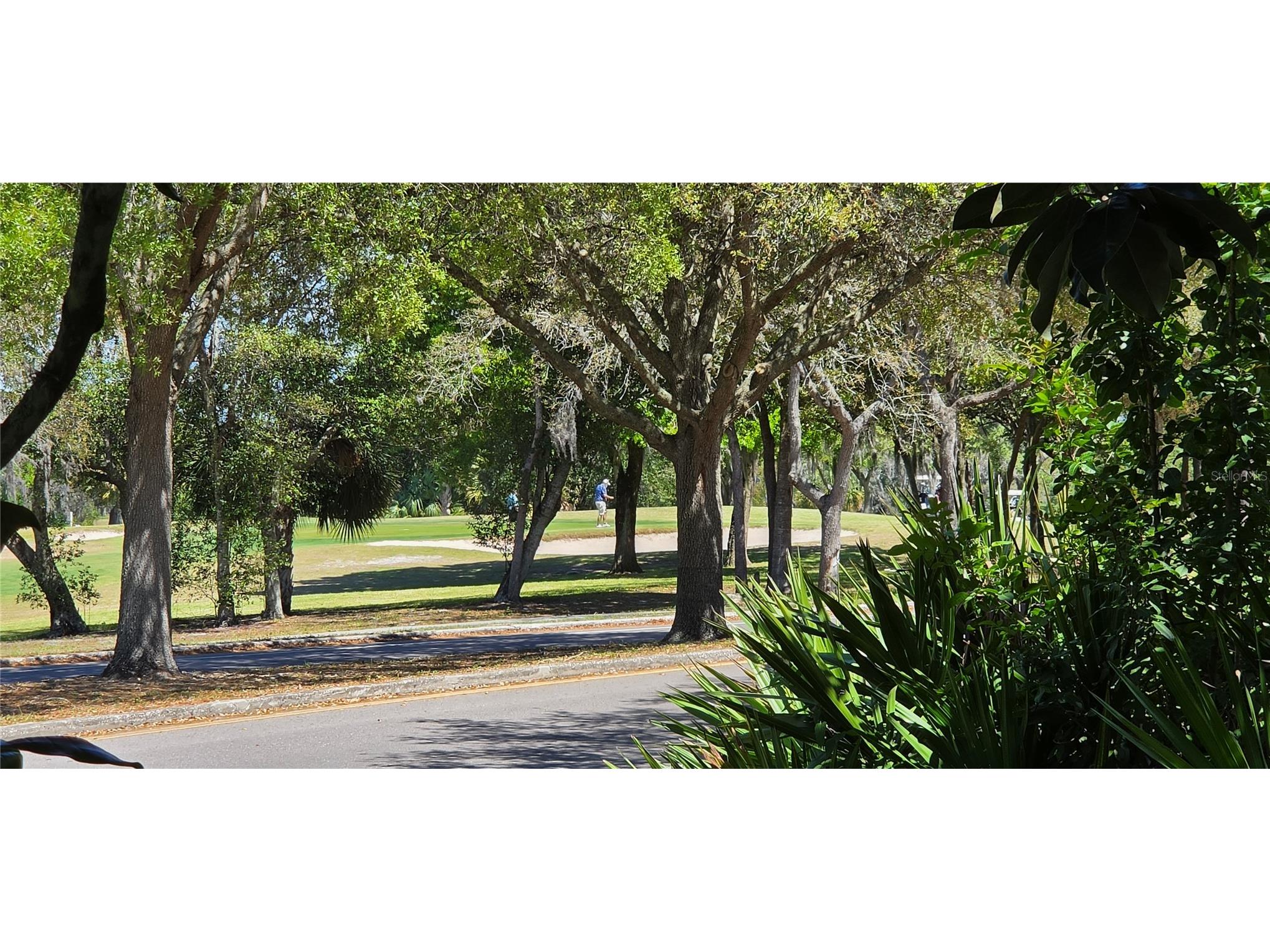 12500 Dearborn Drive #F Hudson FL 34667 W7884157 image27