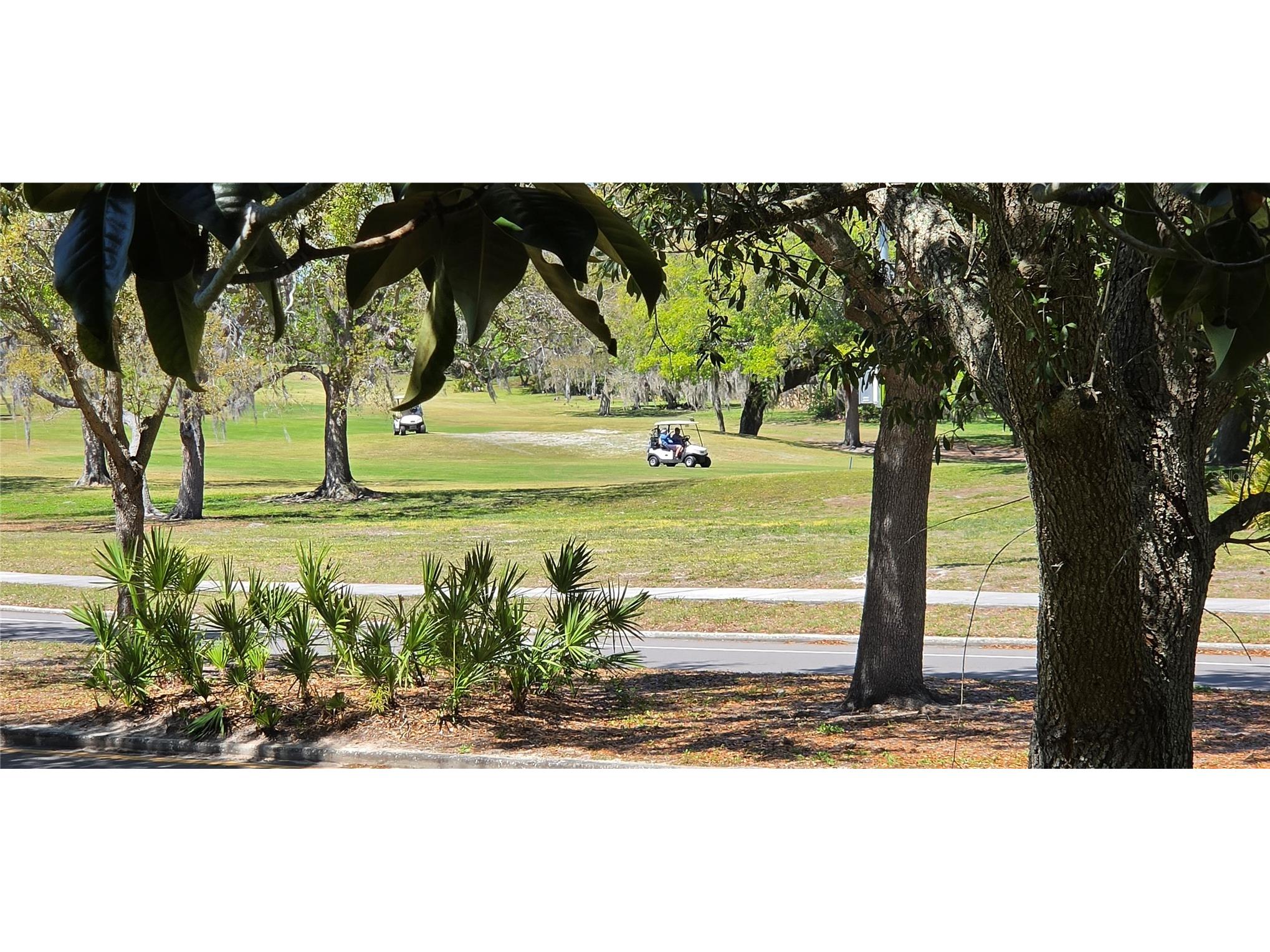 12500 Dearborn Drive #F Hudson FL 34667 W7884157 image28