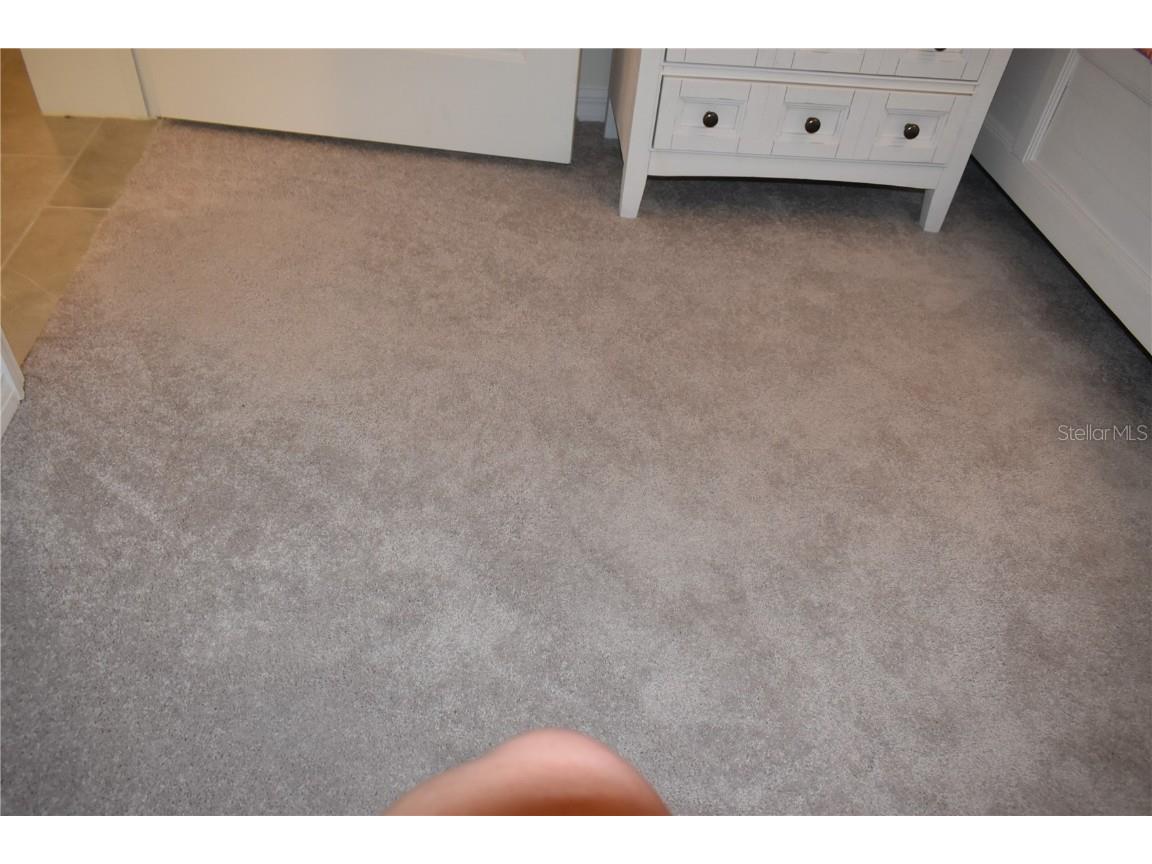 12500 Ghiberti Circle #102 Venice FL 34293 D6122243 image53