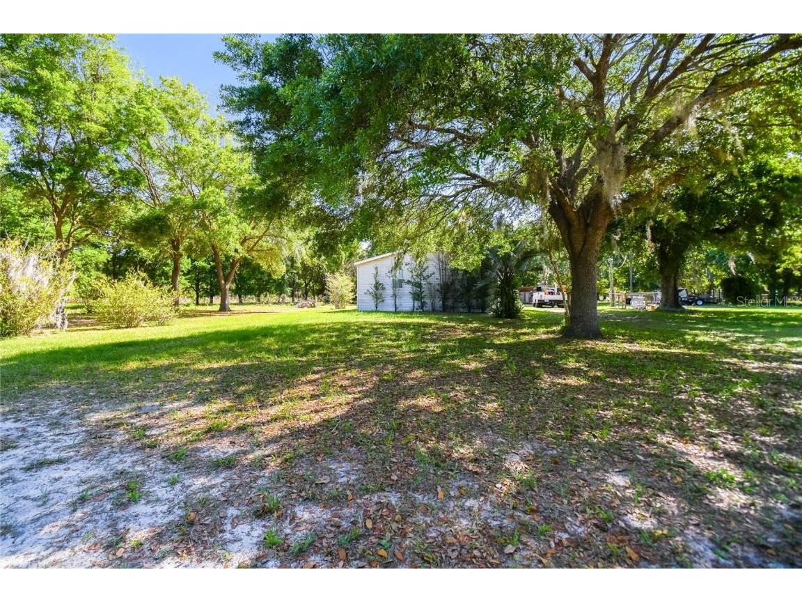 12500 Hamlin Road Spring Hill FL 34610 T3515077 image10
