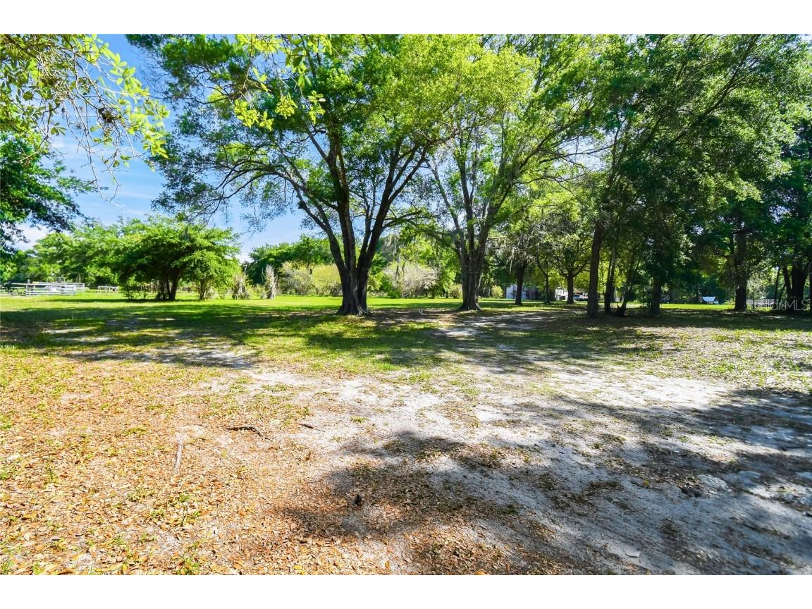 12500 Hamlin Road Spring Hill FL 34610 T3515077 image13