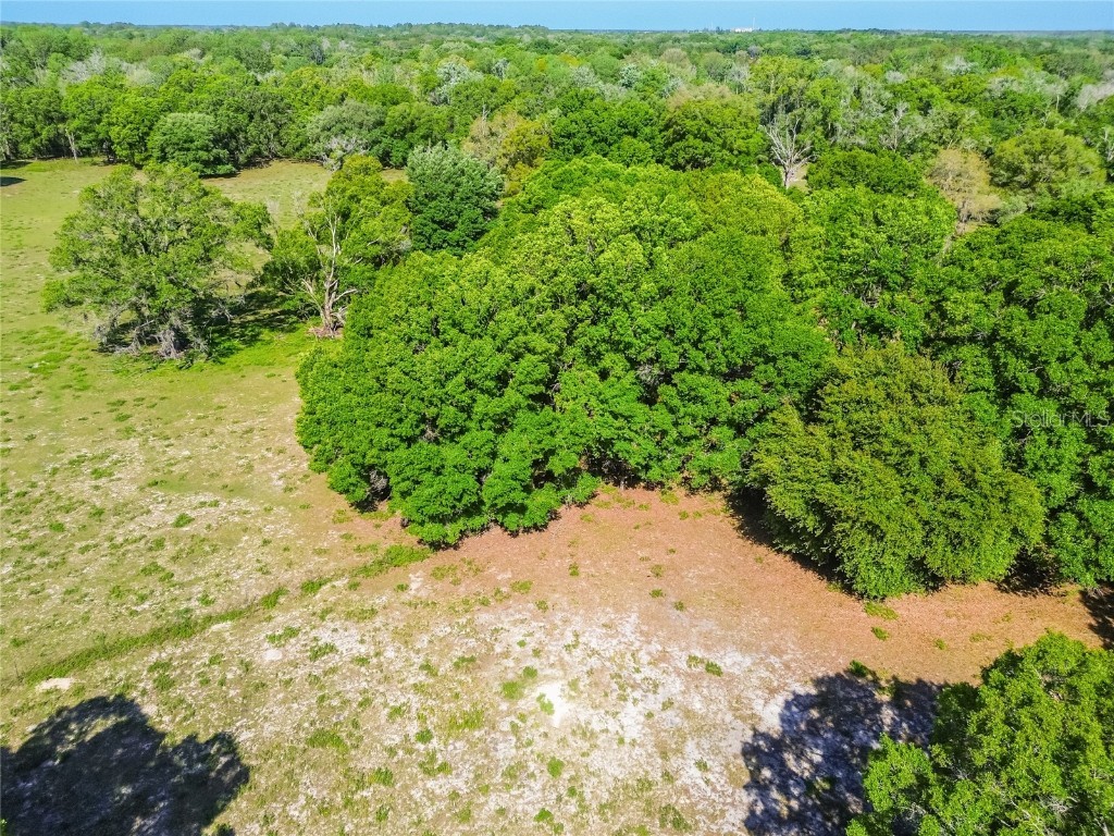 12500 Hamlin Road Spring Hill FL 34610 T3515077 image14