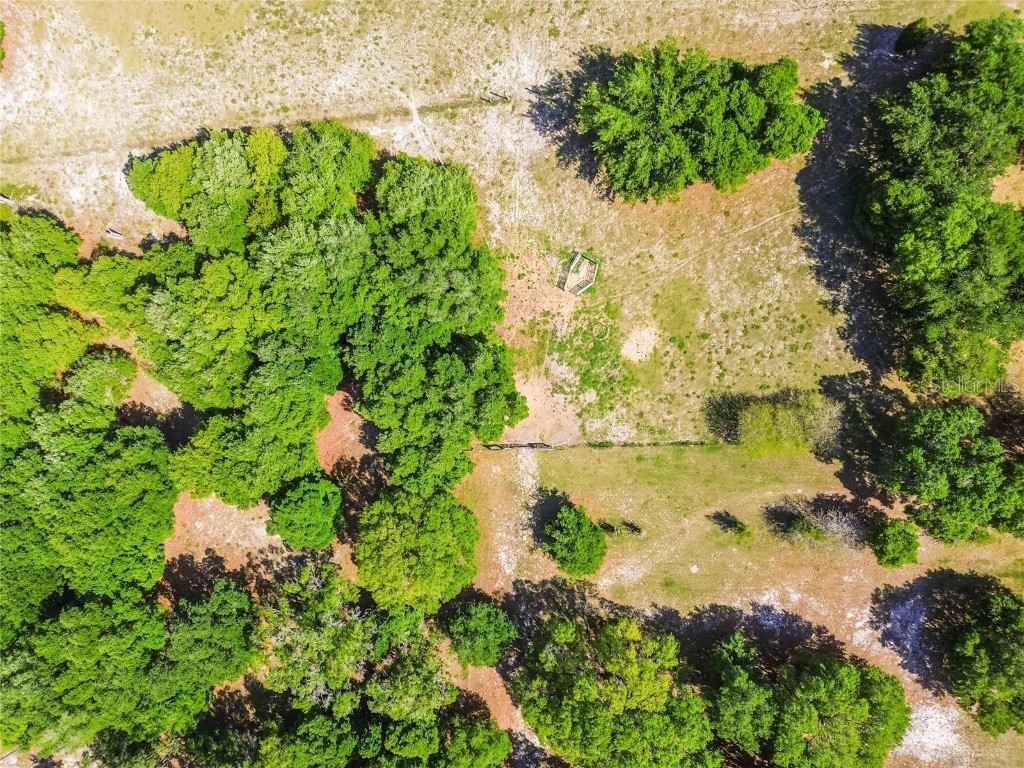 12500 Hamlin Road Spring Hill FL 34610 T3515077 image17