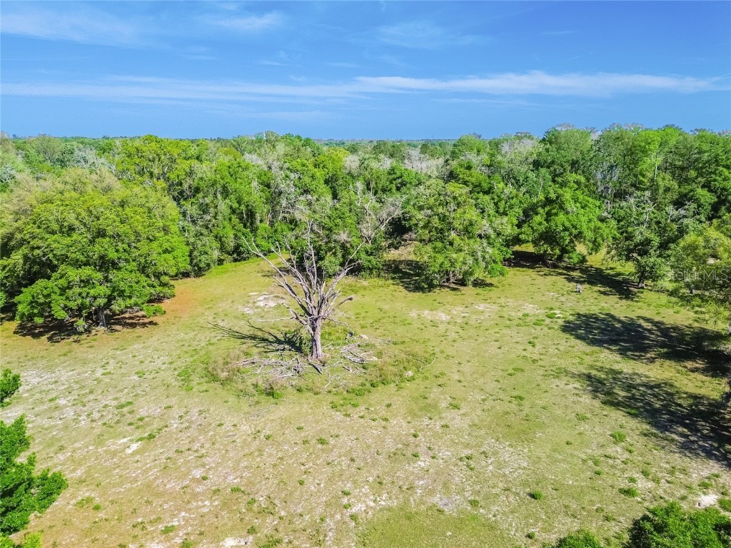 12500 Hamlin Road Spring Hill FL 34610 T3515077 image20