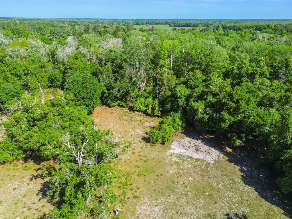 12500 Hamlin Road Spring Hill FL 34610 T3515077 image21