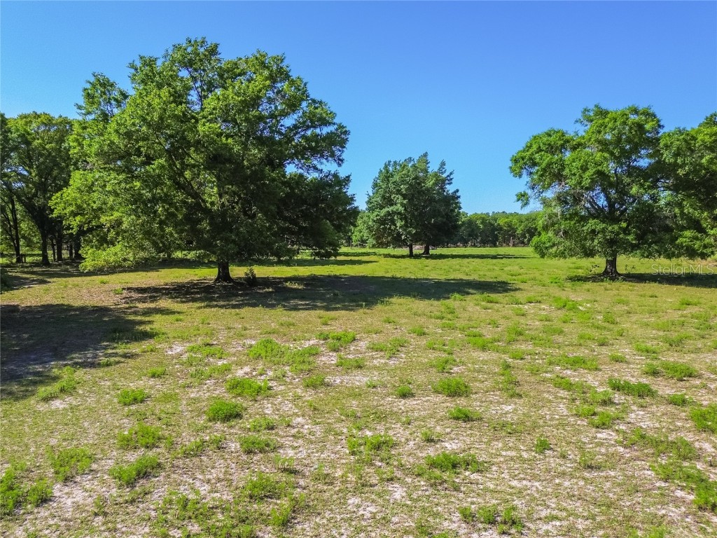 12500 Hamlin Road Spring Hill FL 34610 T3515077 image23