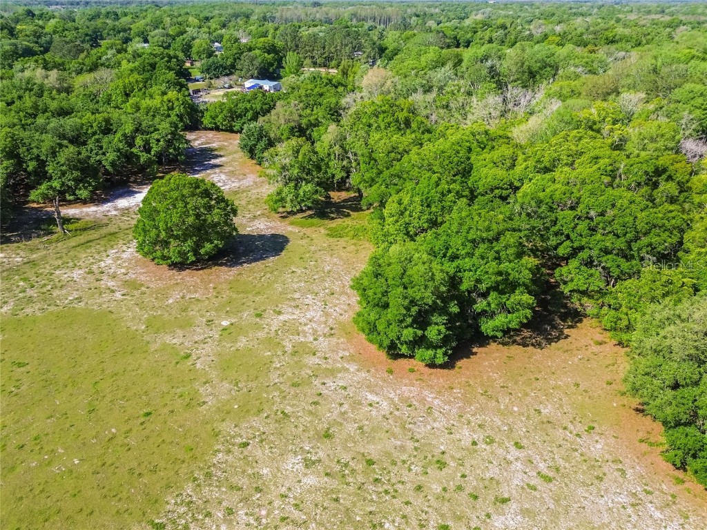 12500 Hamlin Road Spring Hill FL 34610 T3515077 image34