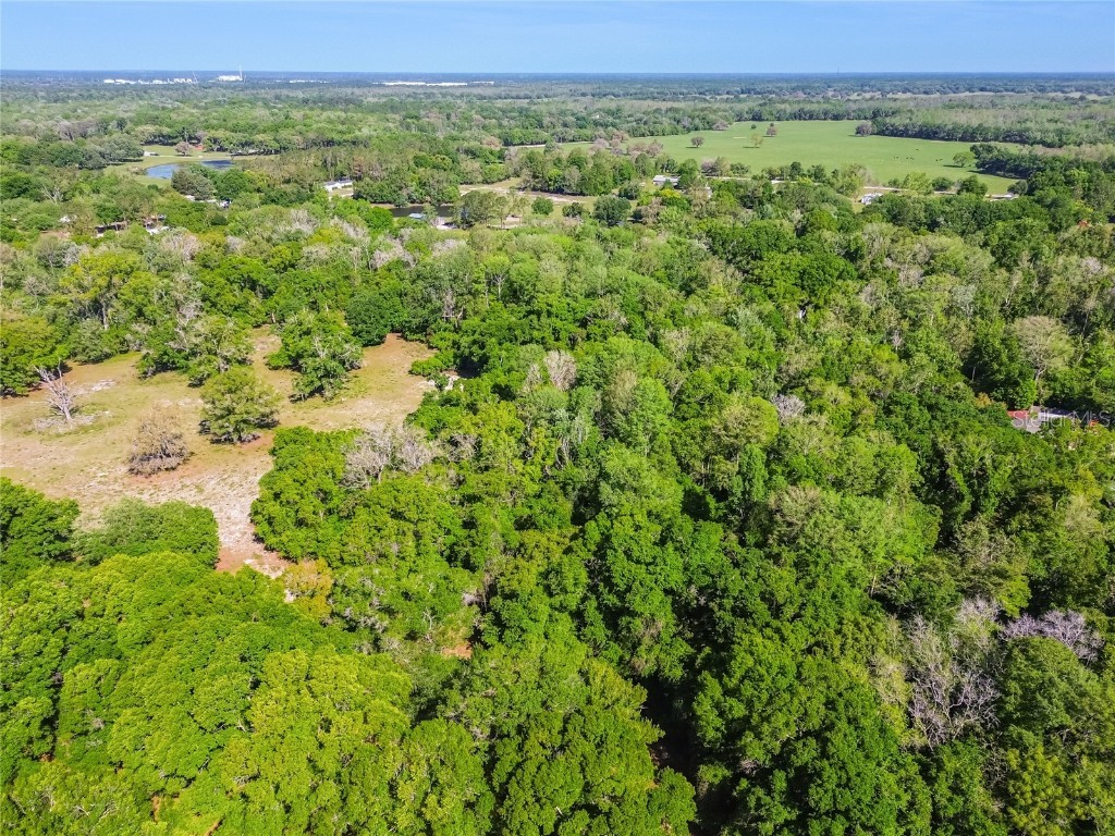 12500 Hamlin Road Spring Hill FL 34610 T3515077 image42