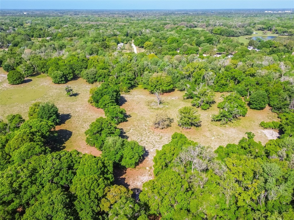 12500 Hamlin Road Spring Hill FL 34610 T3515077 image43