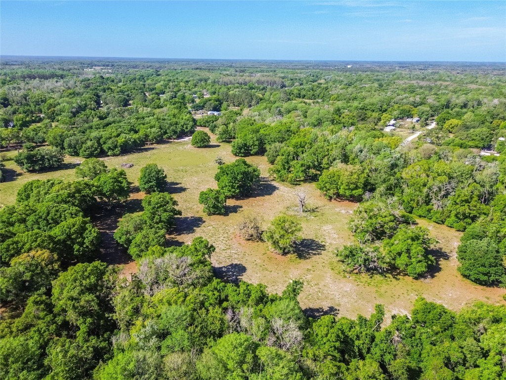 12500 Hamlin Road Spring Hill FL 34610 T3515077 image44