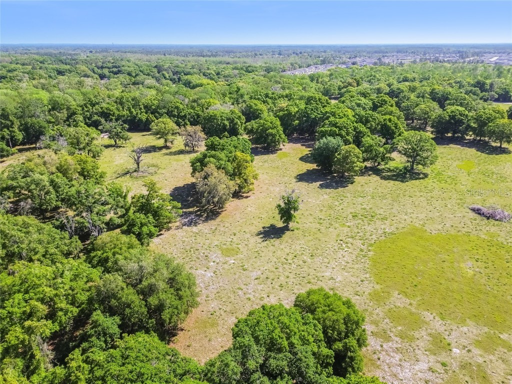 12500 Hamlin Road Spring Hill FL 34610 T3515077 image53