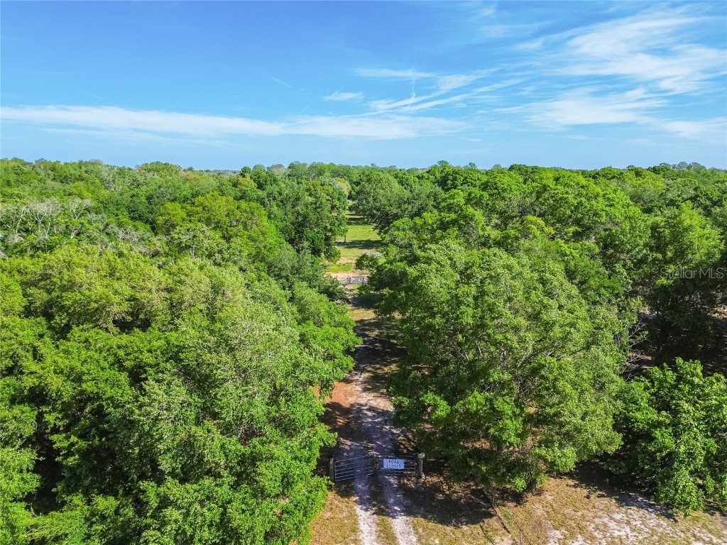 12500 Hamlin Road Spring Hill FL 34610 T3515077 image54