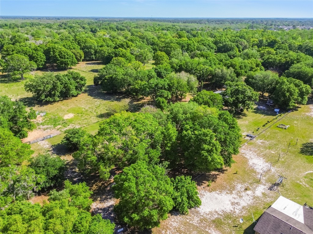 12500 Hamlin Road Spring Hill FL 34610 T3515077 image58