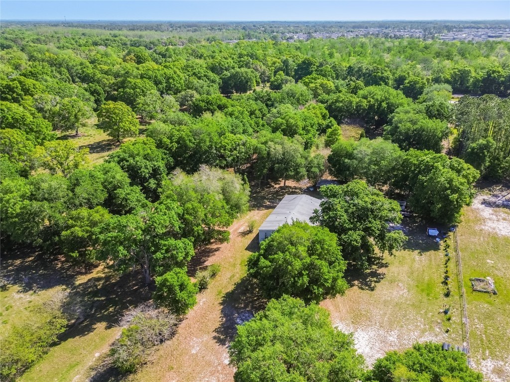 12500 Hamlin Road Spring Hill FL 34610 T3515077 image59