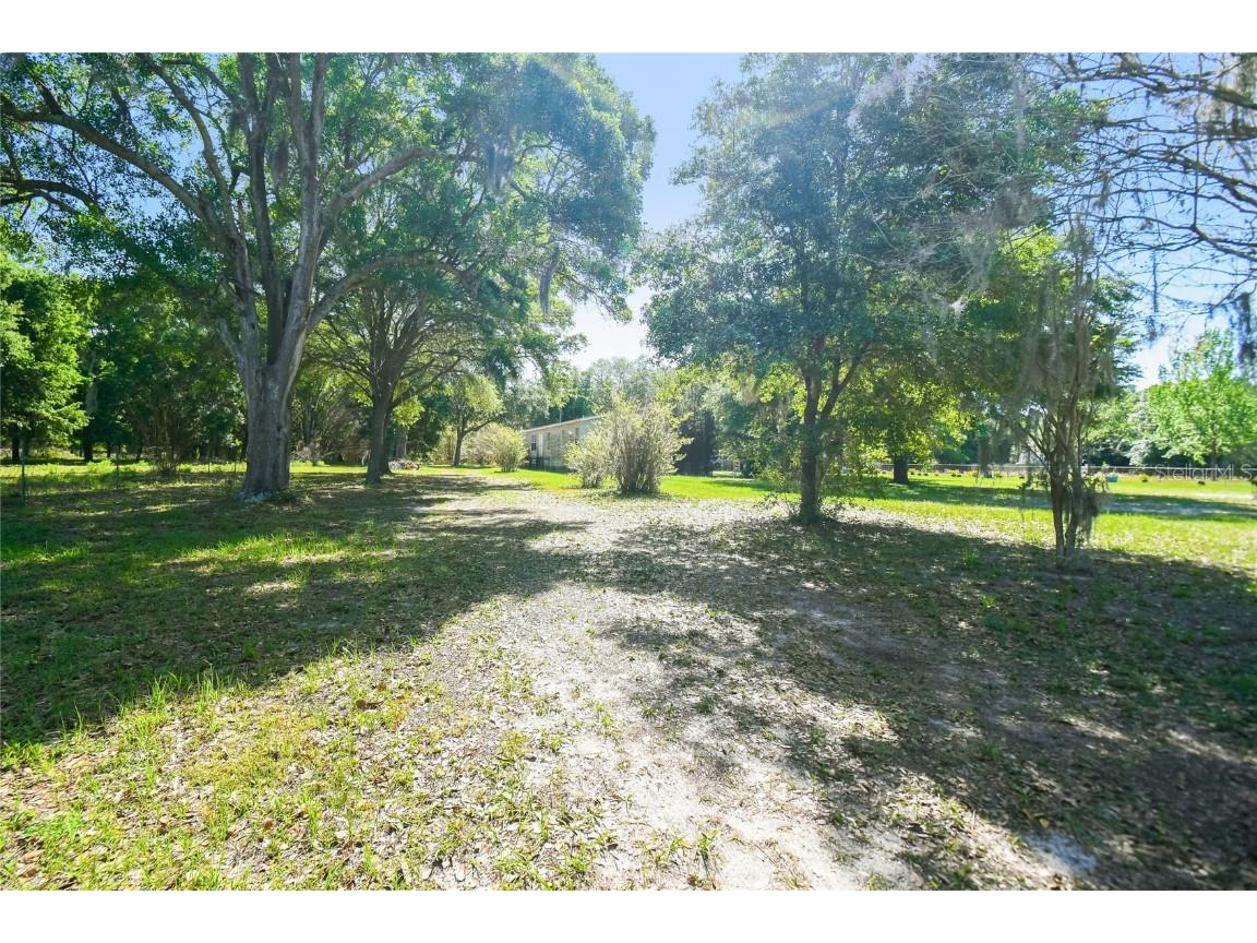 12500 Hamlin Road Spring Hill FL 34610 T3515077 image8