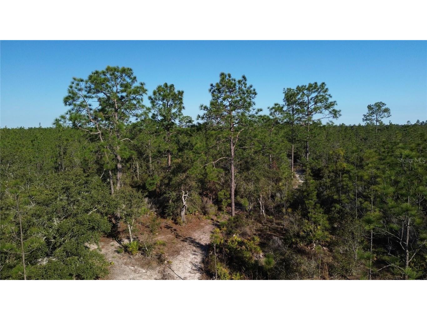 12500 NE 87th Place Bronson FL 32621 OM695419 image1