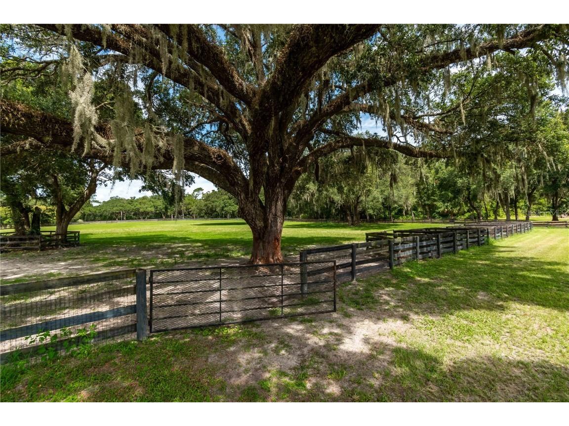 12500 NW 100th Street Ocala FL 34482 OM682132 image70