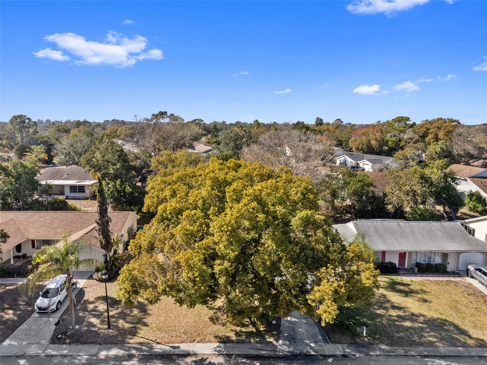 12501 Stagecoach Lane Hudson FL 34667 W7883064 image44