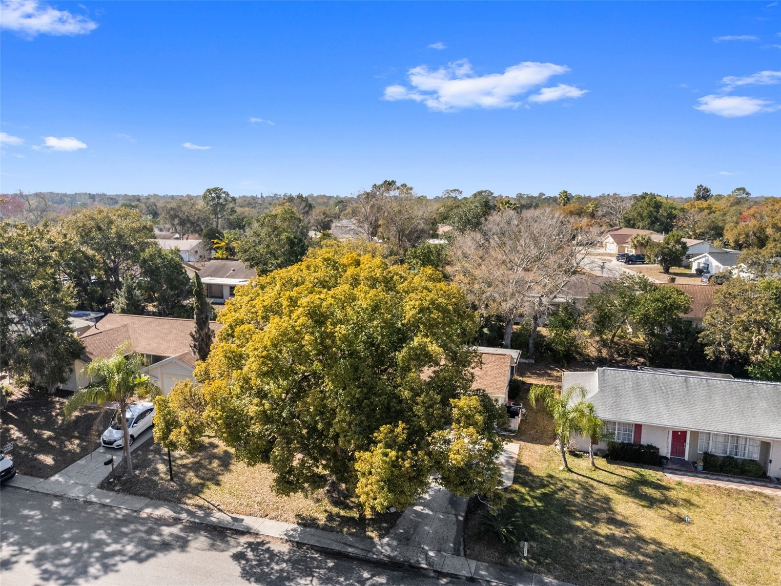 12501 Stagecoach Lane Hudson FL 34667 W7883064 image45