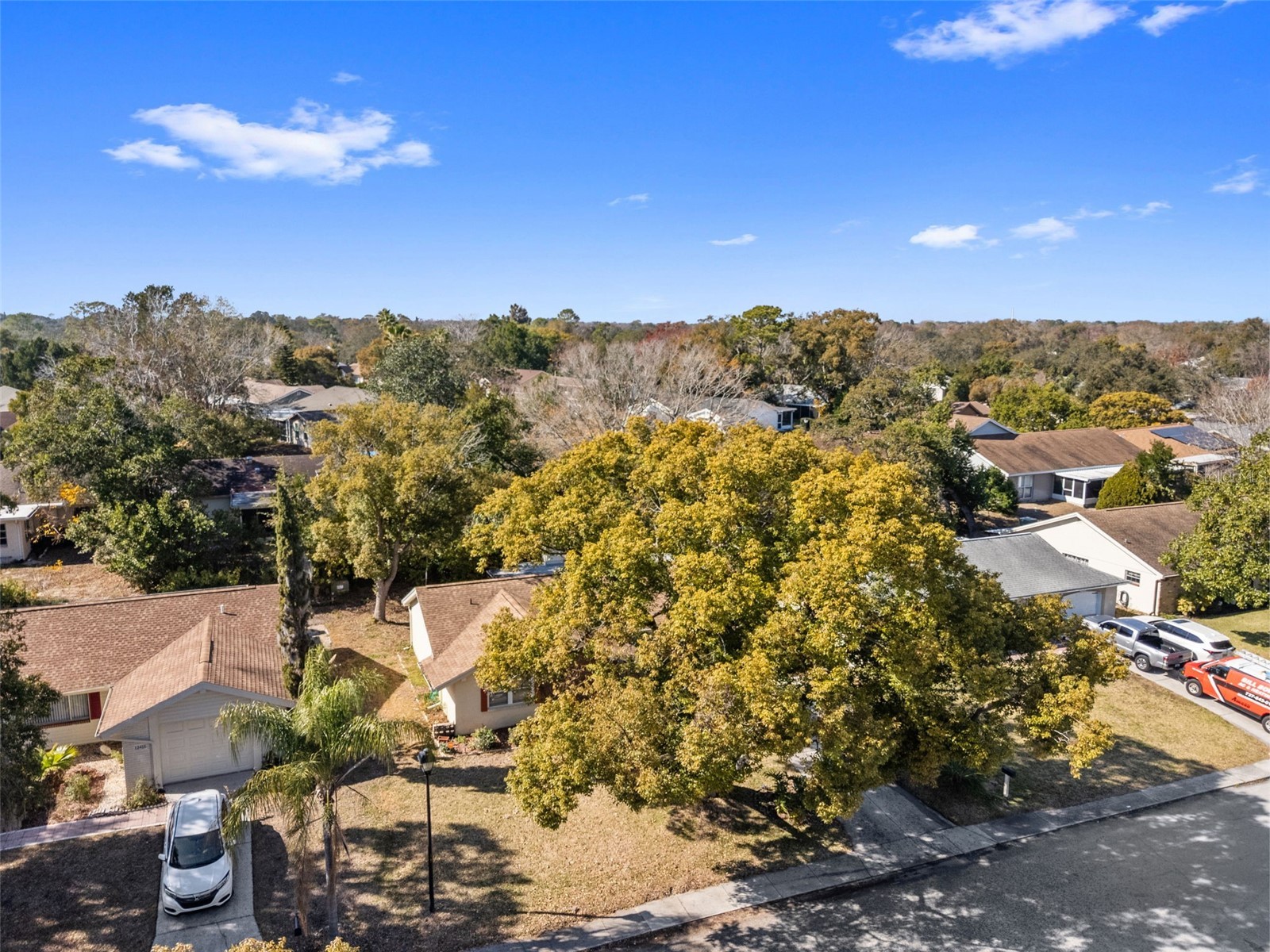 12501 Stagecoach Lane Hudson FL 34667 W7883064 image46